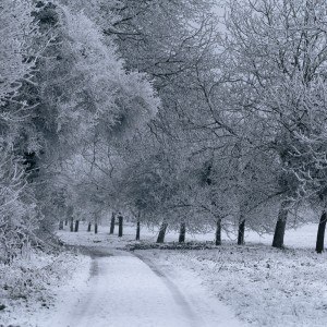 Winter 03